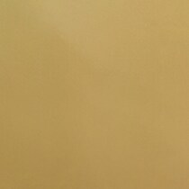 gold swatch  