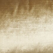 gold swatch  