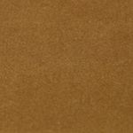 gold swatch  