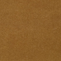 gold swatch  