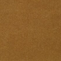 gold swatch  
