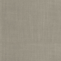 gray swatch  