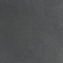 gray swatch  