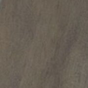 gray swatch  