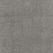 Geller 3' x 5' Area Rug - Gray