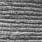 gray swatch  