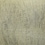 gray swatch  
