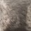 gray swatch  