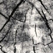 Dami 5' x 8' Area Rug - Gray/Black