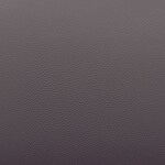 gray swatch  