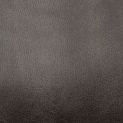 gray swatch  