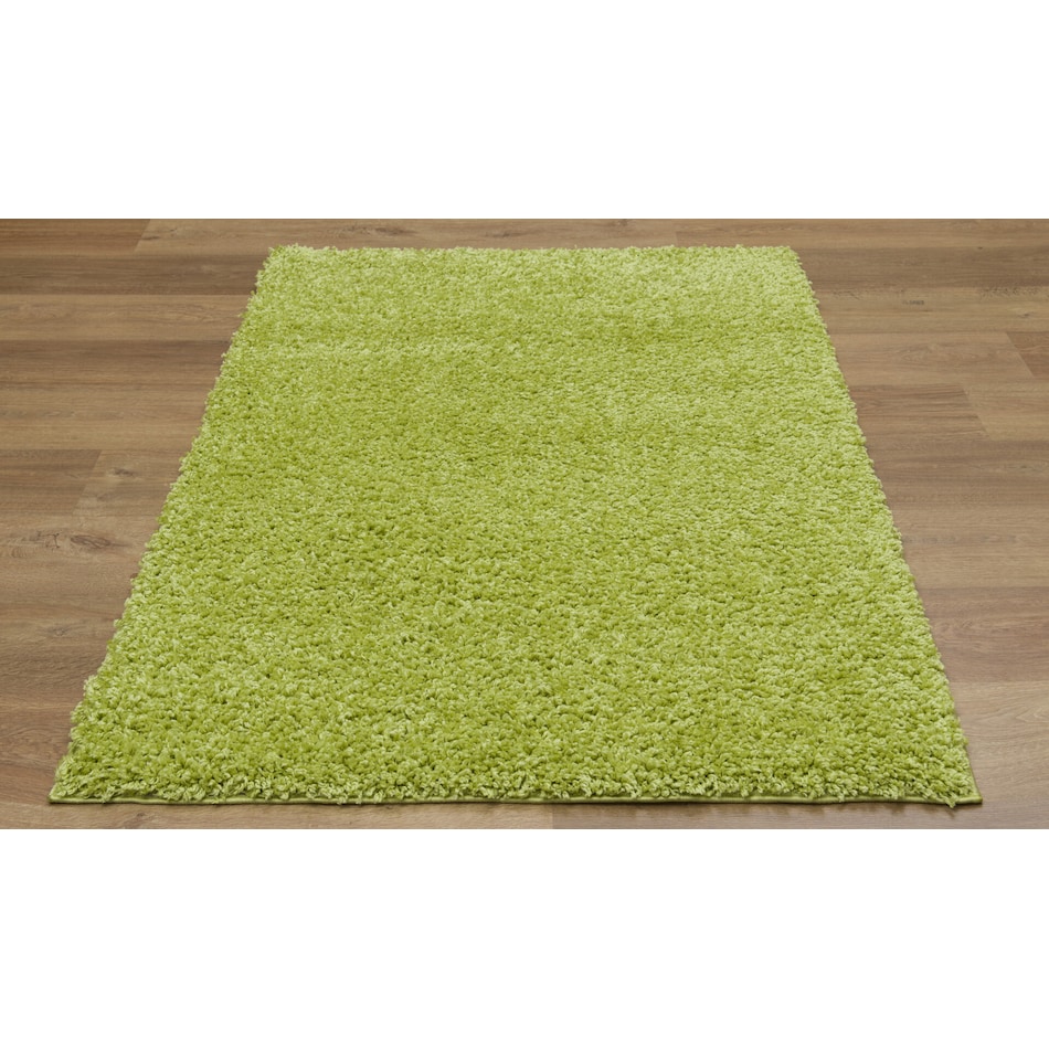 green area rug  x    