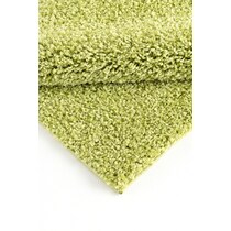 green area rug  x    