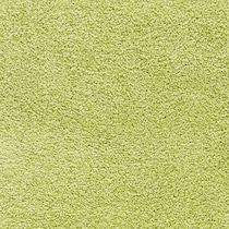 green area rug  x    