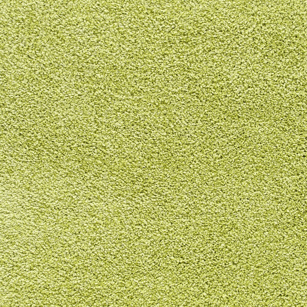 green area rug  x    