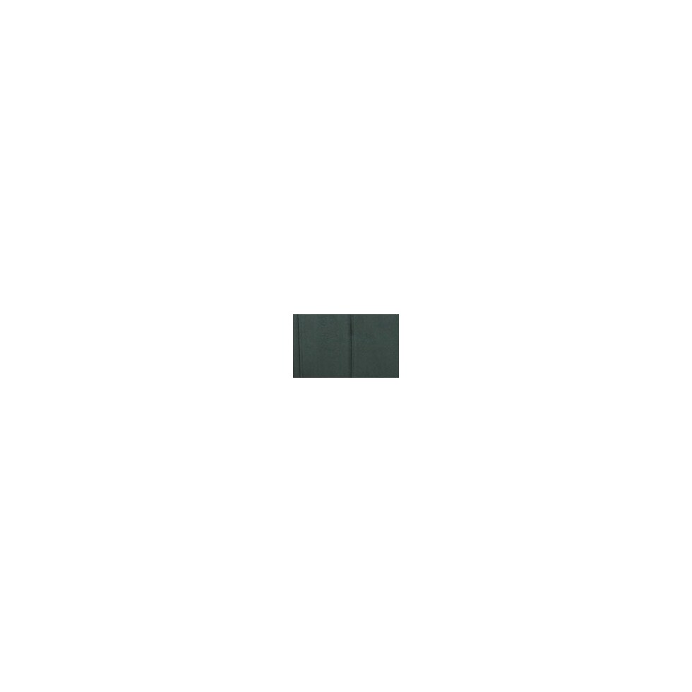 green swatch  