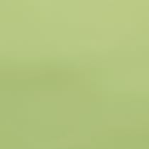 green swatch  