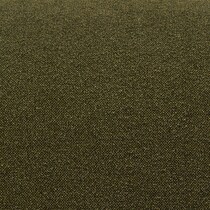 green swatch  