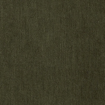 green swatch  