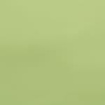 green swatch  