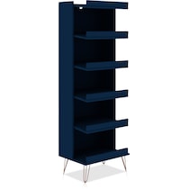 harvard blue shoe rack   