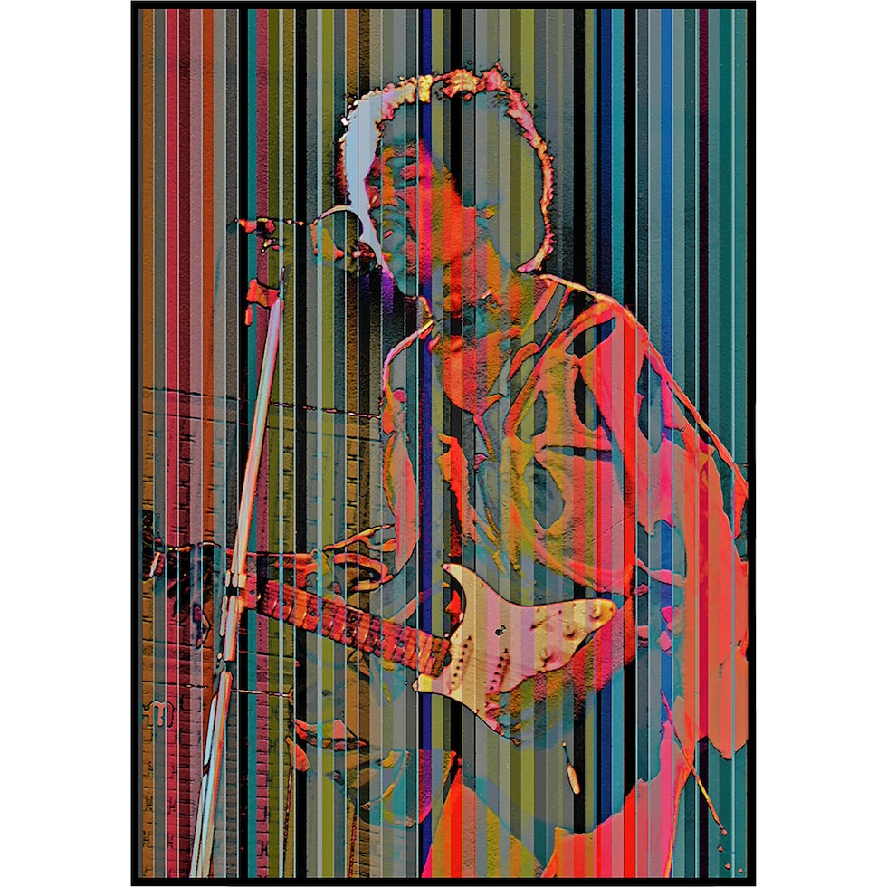 hendrix multicolor wall art   