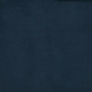 indigo swatch  