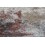 ivory red swatch  