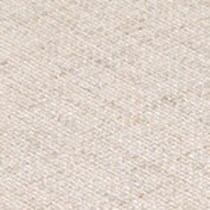 ivory swatch  