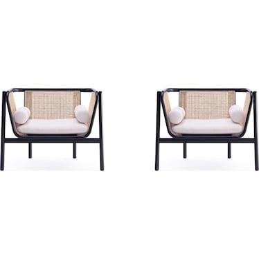 Jenner Set of 2 Accent Chairs