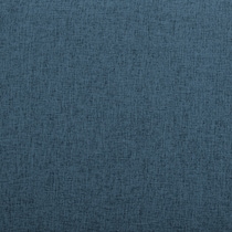 joci blue futon   