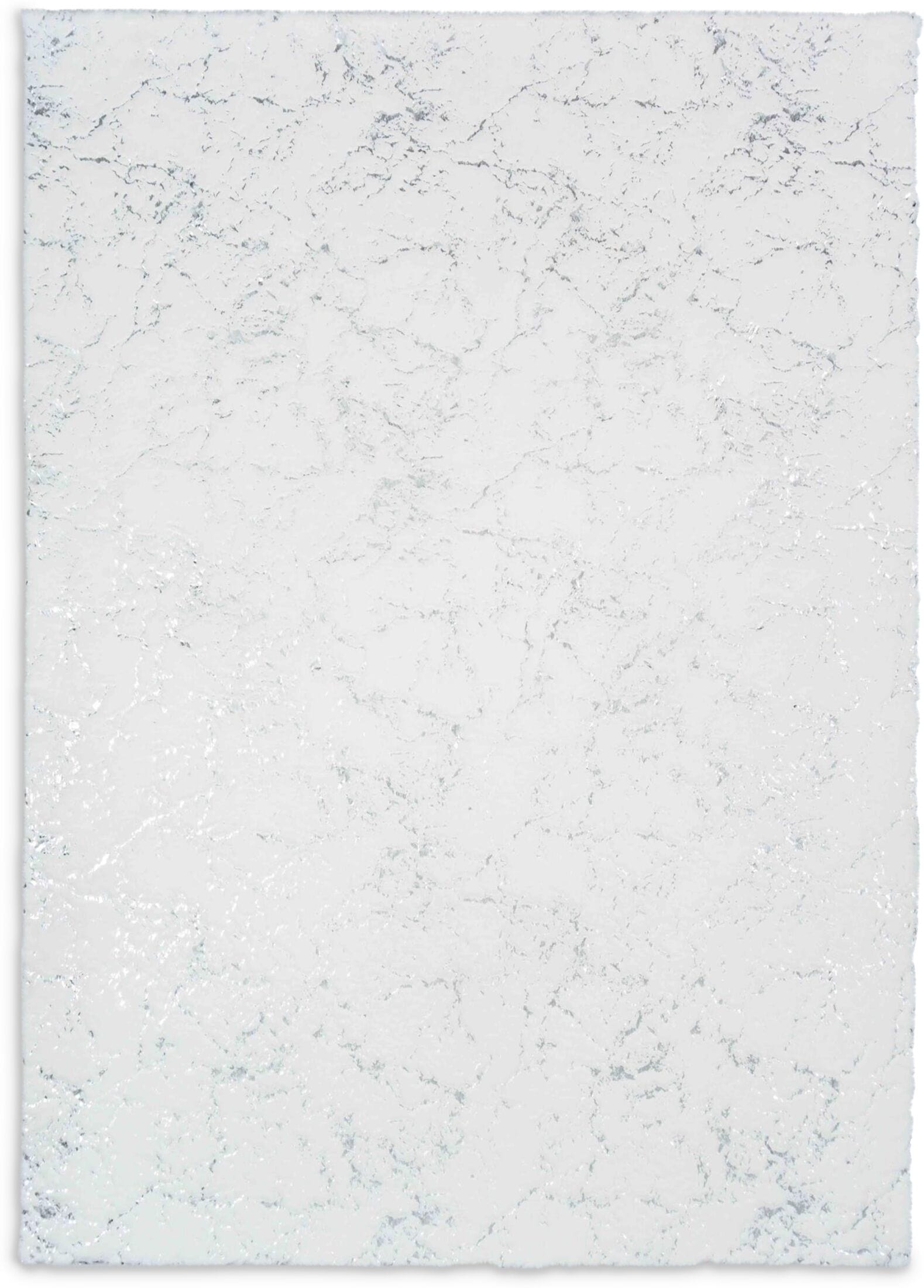 Kashi Area Rug White/Silver American Signature Furniture