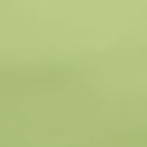 key lime swatch  