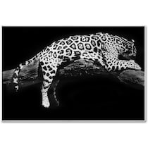 laying leopard black wall art   