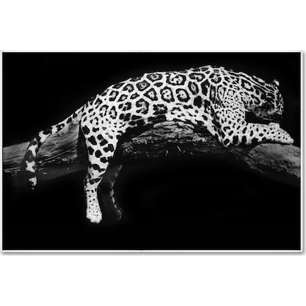 Laying Leopard Wall Art