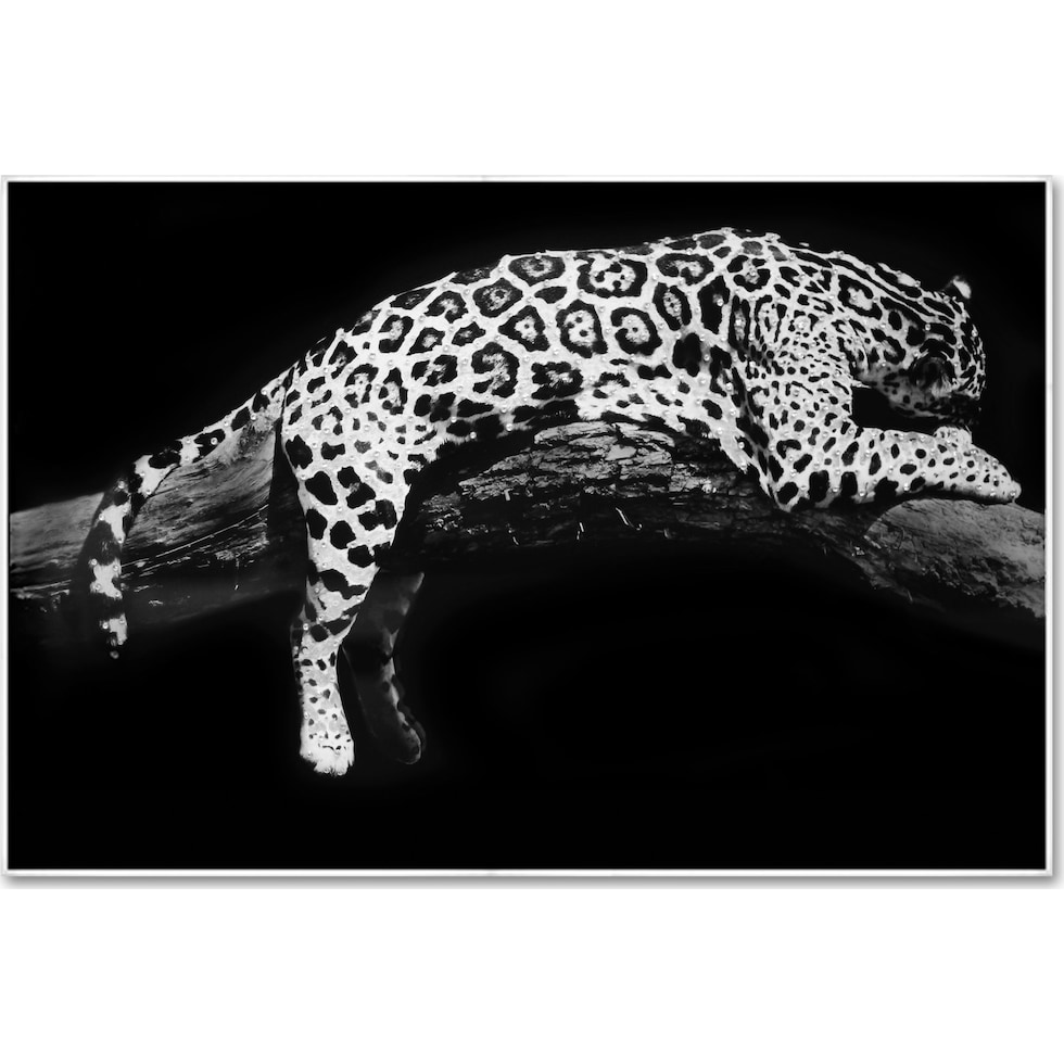 laying leopard black wall art   