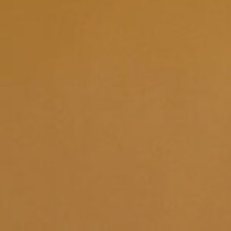 light brown swatch  