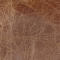 light brown swatch  