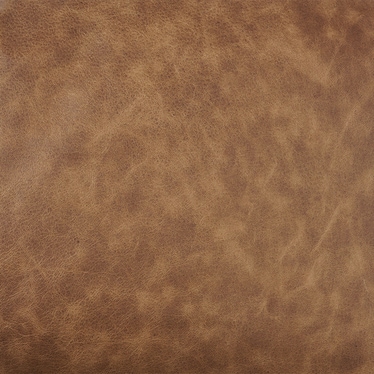 Dumont Leather Pillow