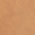 light brown swatch  