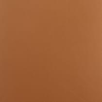 light brown swatch  