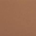 light brown swatch  