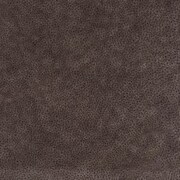 Carter Glider Recliner - Earth