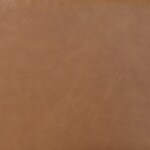 light brown swatch  