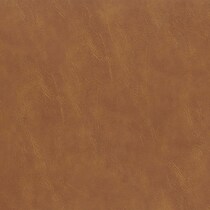 light brown swatch  