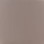 light brown swatch  