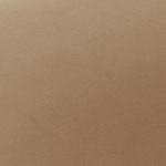 light brown swatch  