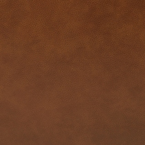 light brown swatch  
