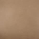 light brown swatch  