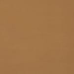 light brown swatch  